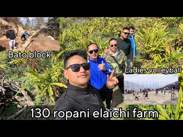 Biggest elaichi farm of Nepal? Bato block very garo |Bhuka Deurali | Teachubro