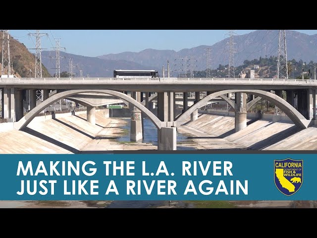 Making the LA River Just Like a River Again