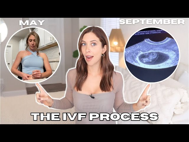 My IVF Journey From Start To Finish | Timeline, Setbacks, Procedures, Etc.