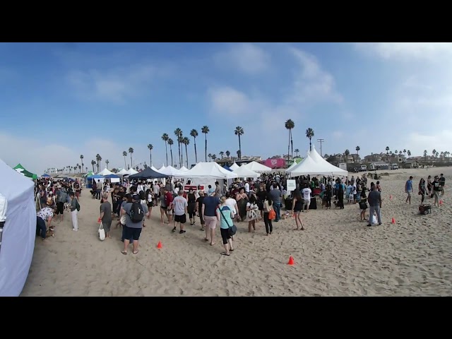 SoCal Corgi Beach Day