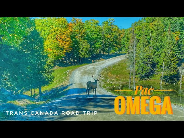 🍁Trans-Canada Road Trip🚗 Day 3 Pac Omega Park🦌Gatineau to Laval via Montbello Wildlife Quebec