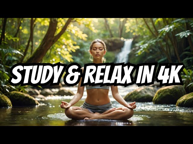 Calm Your Mind With 1 Hour Of Nature Sounds (Study Music)