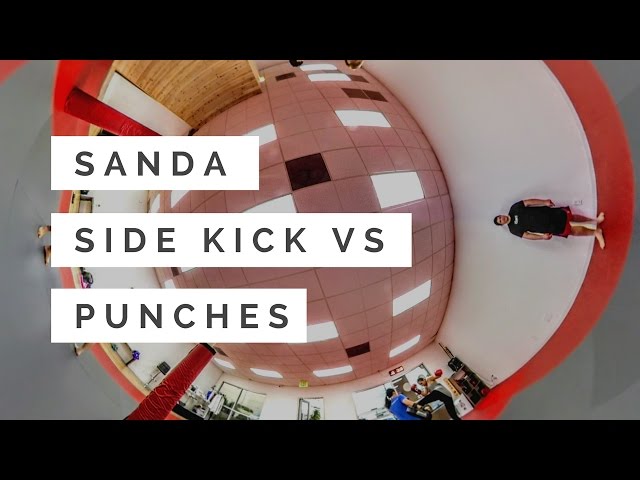 Sanda Sidekick vs Punches