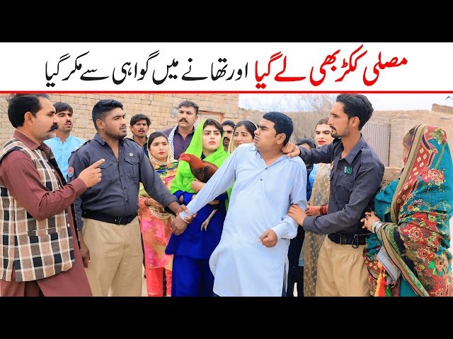 #comedy  Ramzi,Noori, Bilo ,Bhootna,Shoki, Sanam, Falak Sher,Funny Video  Rachnavi Tv