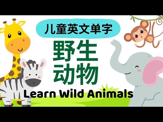 Learn Wild Animals in English & Chinese: Lion, Tiger｜幼儿英文单词｜野生动物词汇｜Bilingual Vocabulary for Kids