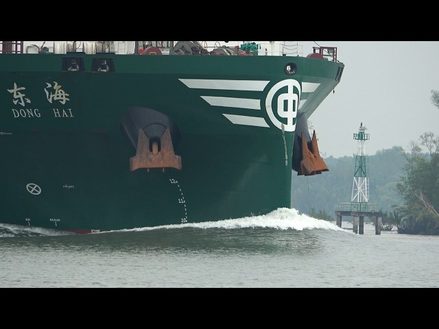 Unbelievable Turn: Chinese Ship Makes a Sharp Move | 4K Shipspotting