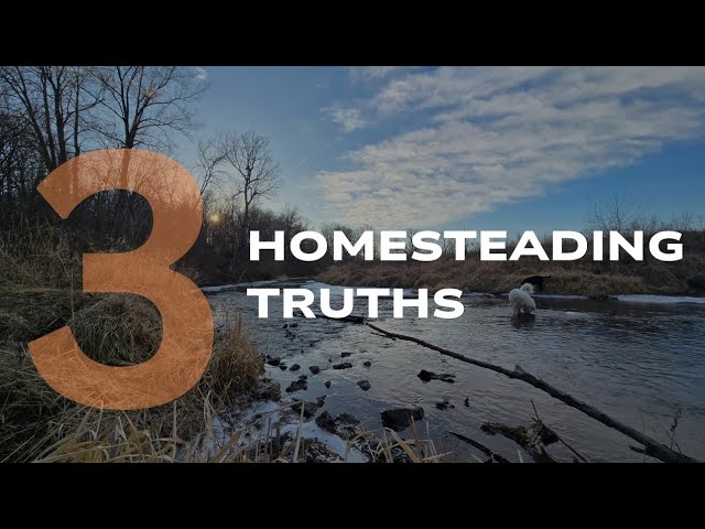 The TRUTH About Homesteading I Wish Someone Told Me (3 Hard Lessons)