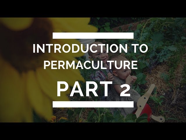 Intro to Permaculture Part 2 - Needs and Yields and Creating Interactive Diversity In Your Designs