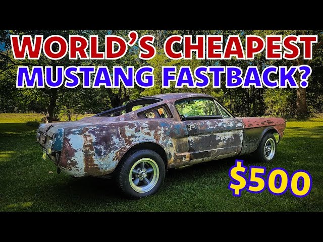 World's Worst Mustang Fastback??? Is it Even Worth Fixing after Sitting for 40 years?