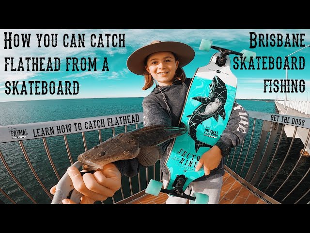 How to catch flathead from a skateboard in suburban Brisbane