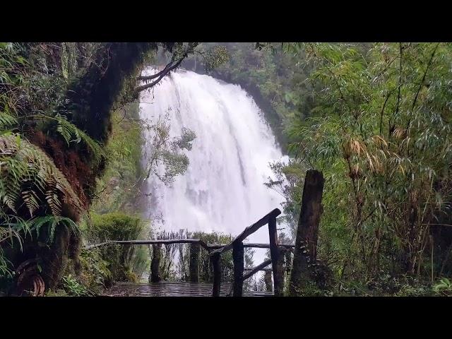 Relax yourself in 5minutemeditation with soothing piano music.gentle sounds of waterfall and forest