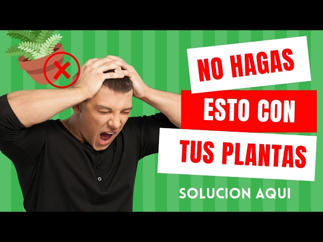 7 Errores Comunes Que Están Destrozando Tus Plantas de Interior (Y Cómo Solucionarlos)