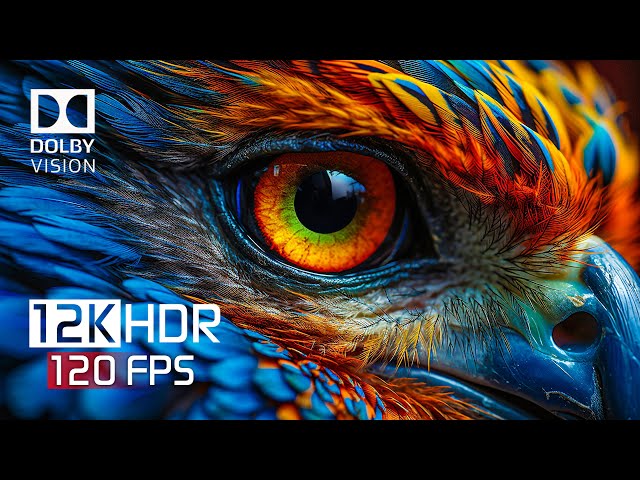 World's Super Beauty in 12K HDR 120FPS Dolby Vision