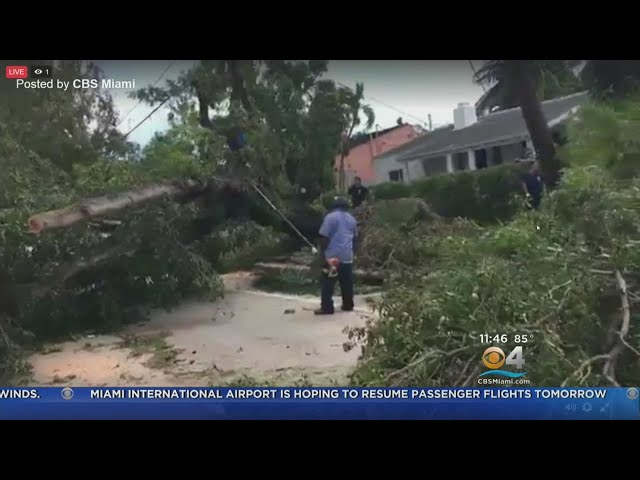 Cleanup Efforts Across Miami Beach Going Strong