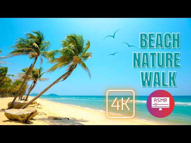 4K AMSR Beach Nature Walk - Shot on iPhone 15 Pro