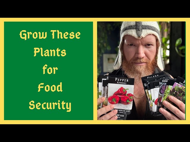 Grow THESE Plants in 2025 - Planning Your Kitchen/Food Security Garden