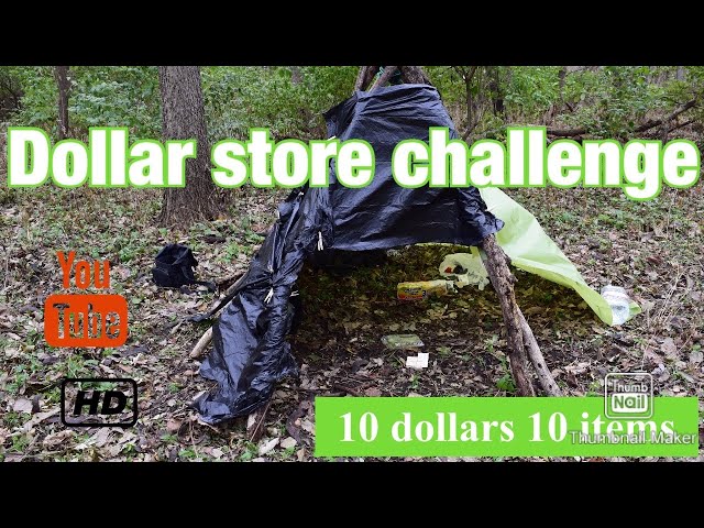 Dollar Store Survival Challenge | 10 dollar 10 items