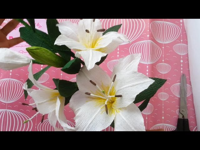 how to make  Lily Paper Flowers Tutorial - Cách làm hoa ly từ giấy nhún đơn giản