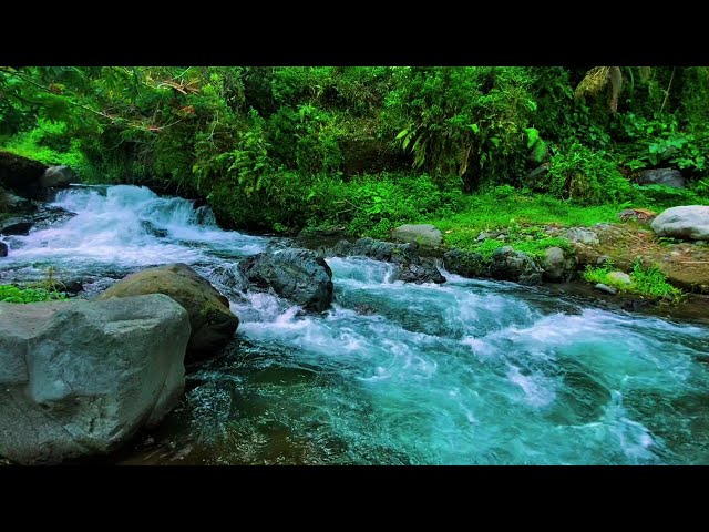 Natural river sounds nature sounds white noise water sounds for deep sleep,stress relief,study