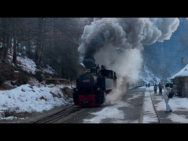 Since 1932, MOCANIȚA Vișeu de Sus,Maramureș🇷🇴 Romania has been operating almost without Interruption