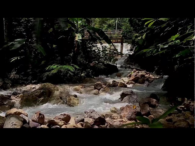 Bird Song in The River Sound For Sleeping, Meditation, Anxiety, Stress Releafe | Pure River Sounds