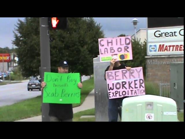 Boycott Driscoll Berries!! Farm Song at the Picket!