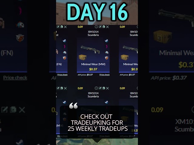 A Trade up A Day until we have a Pro's Inventory | Day 16 #cs2 #dailychallenge