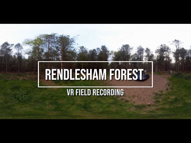 Rendlesham Forest UFO Landing Site, Suffolk, England