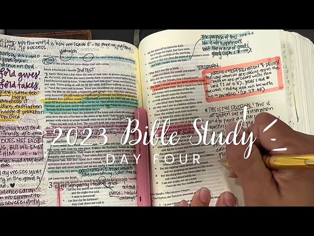 Day 4 Job 1-5 | Bible study for beginners