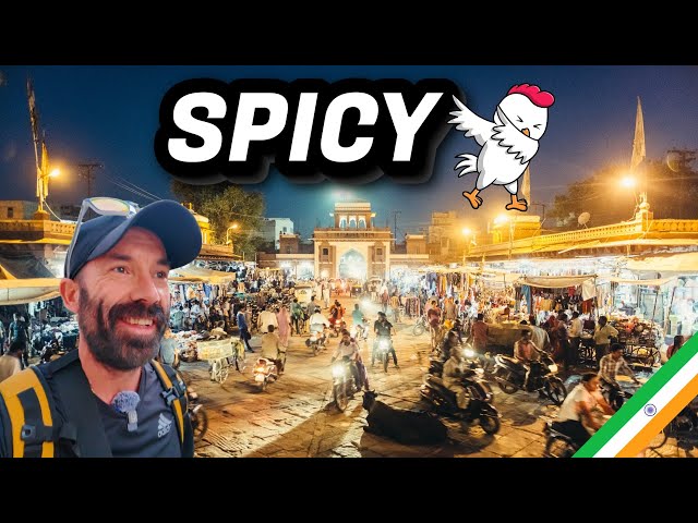 🇮🇳 First Night in Jodhpur: Butter Chicken, Goats & Chaos! 🐐🍛