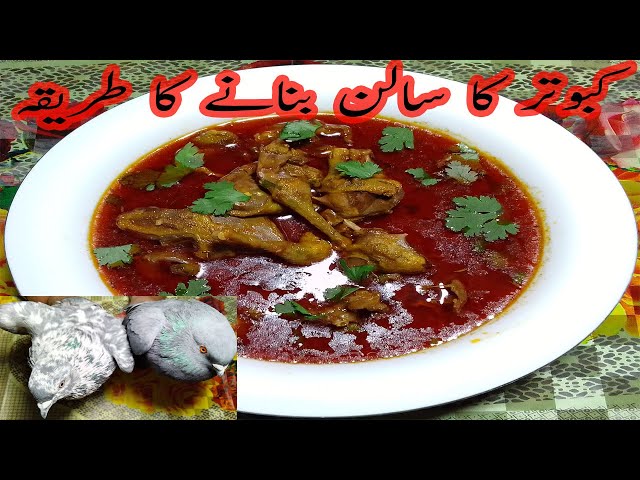 Kabutar Ka Salan Recipe | Pigeon Recipe | Kabutar Ka Salan Banane Ka Tarika By Shaheen's Cooking