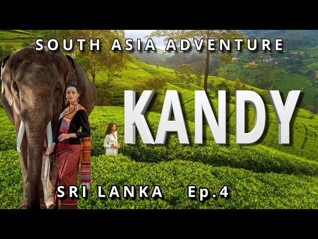 Ep. 4, Sri Lanka’s Tea Hills, Ancient Temples, & Coastal Retreat | Ultimate Adventure