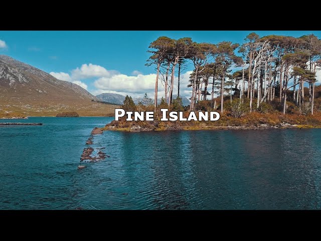 Pine Island