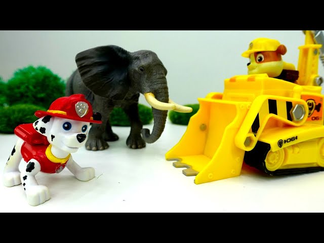 Video for kids | Paw Patrol toys build a zoo for toy animals | Kids toys and cars