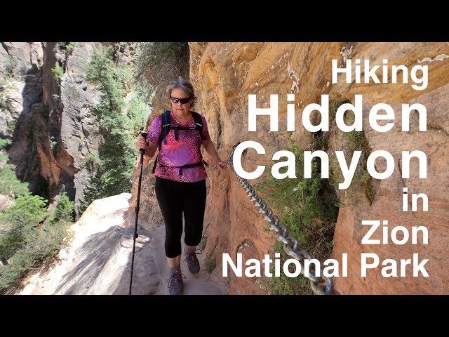 One of The BEST Hikes in ZION National Park is Hidden Canyon Trail