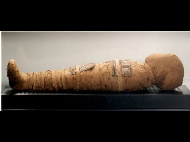 Mummy | Wikipedia audio article