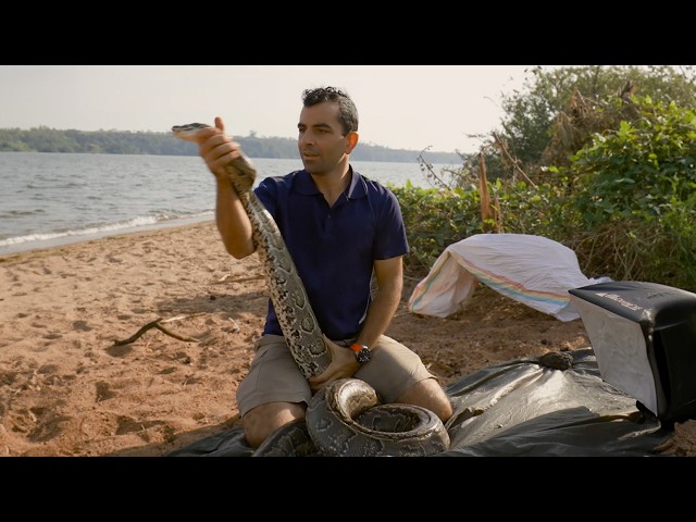 Tracking the World's Deadliest Viper in Uganda