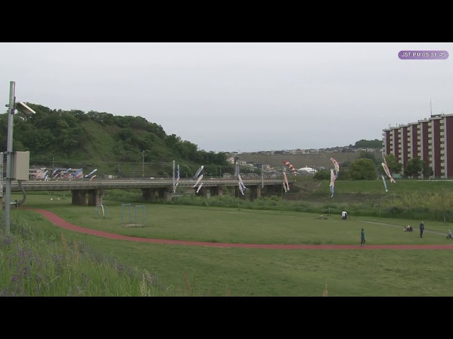 【定点ちょびっと配信】鯉のぼりと大和路線【奈良・王寺】