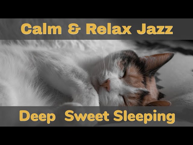 Deep And Sweet Sleeping (Calm Melancholy Relaxing Jazz No Copyright Music)