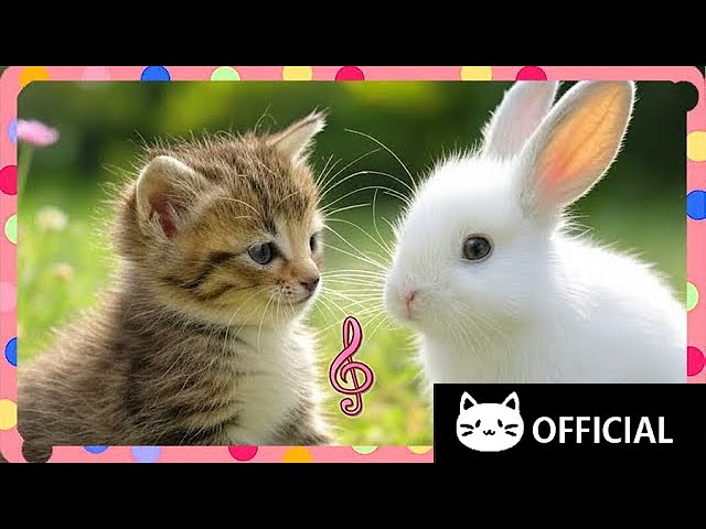 【Meow Song】Dancing in the Glow | Best Kids Learning Songs 2025 🎶