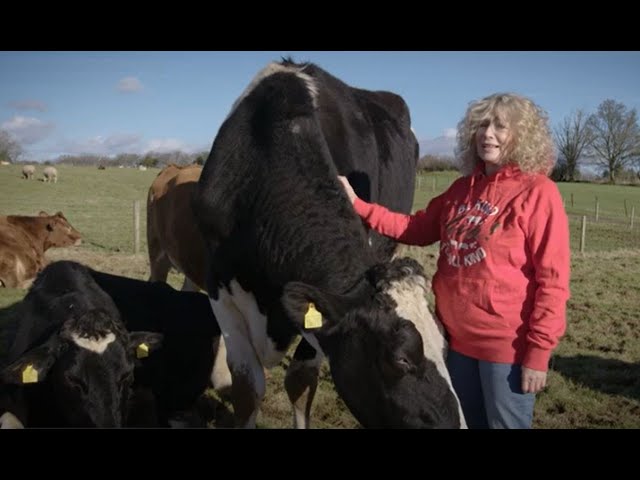 Dairy is Scary: Juliet & Kevin Expose the Truth 🐄💔