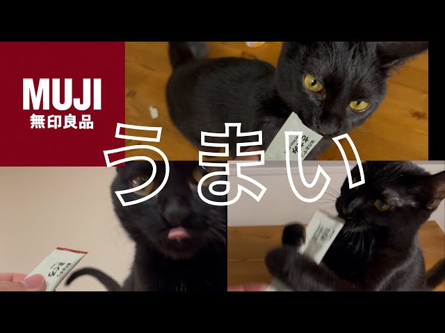 【無印良品】猫用のピューレってどうなん？【保護猫】チュールと違う？