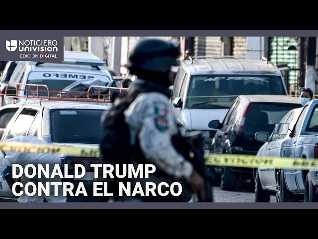 Estos son los carteles de la droga que el gobierno Trump designará como organizaciones terroristas