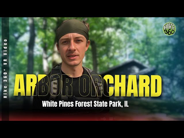 White Pines Forest State Park, IL - Arbor Orchard (Hike 360° VR Video)