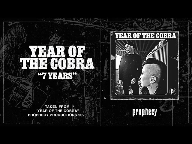 Year Of The Cobra - 7 Years [Official Visualizer]