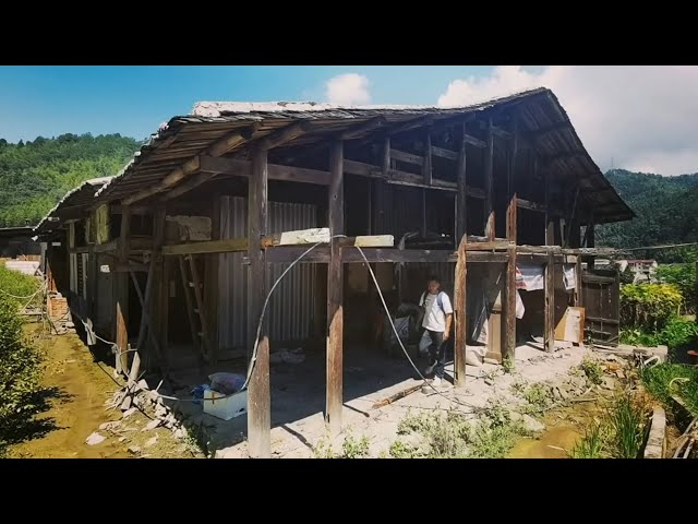 Reviving a 30 Year Abandoned House Journey : Repairing the House Structure - First Steps Part 2