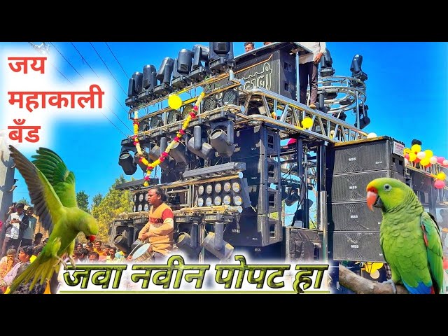 🦜जवा नवीन पोपट हा || जय महाकाली ब्रास बँड || java navin popat ha | Jay Mahakali Brass Band Umbarkhed