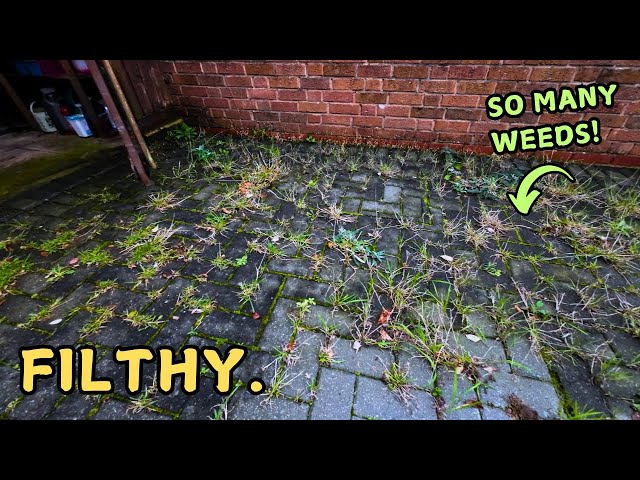 SO MANY WEEDS! Driveway Pressure Wash In Real Time ASMR