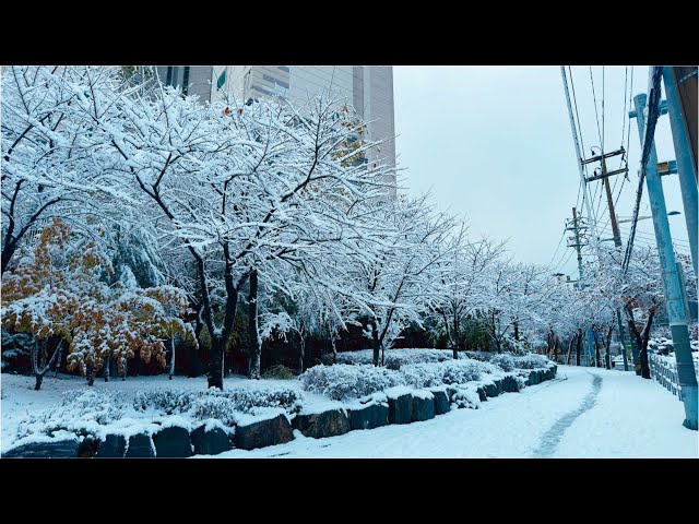 [Morning 🌞] Snowy day ☃ l Listen to Good Beats 🎵