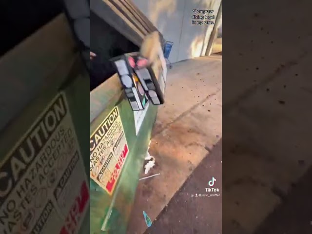 DUMPSTER DIVER JUMPS IN DUMPSTER TO RESCUE FOOD #dumpsterdiving #donatenotdump